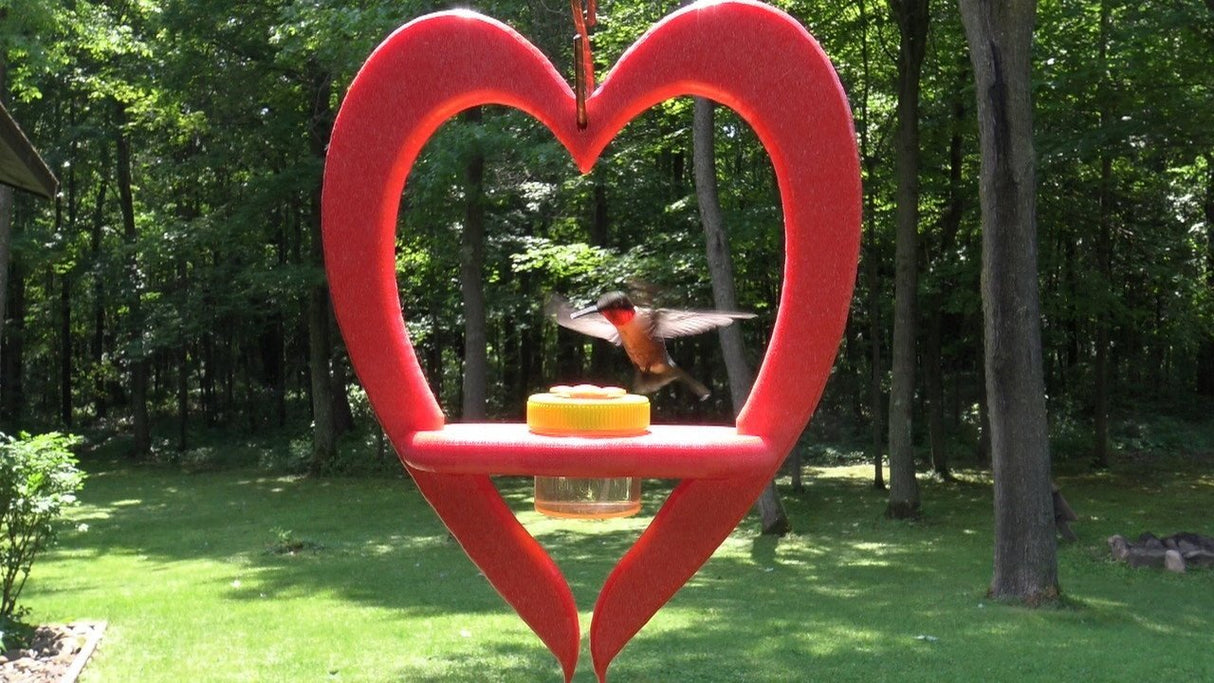 Poly Heart Nectar Dot Hummingbird Feeder