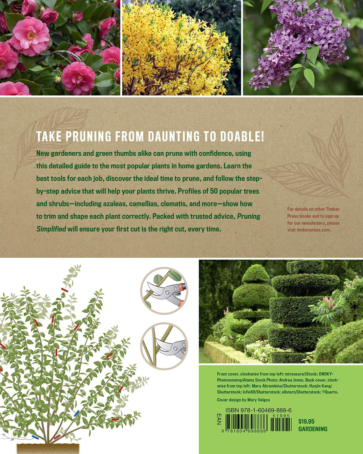 Pruning Simplified, A Step-by-Step Guide to 50 Popular Trees and Shrubs