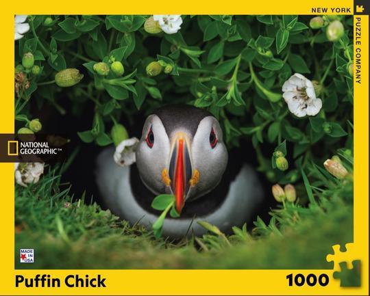Puffin Chick 1000 Piece Jigsaw Puzzle