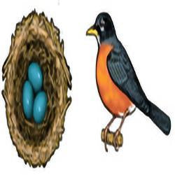 Eco Friendly Robin Earrings