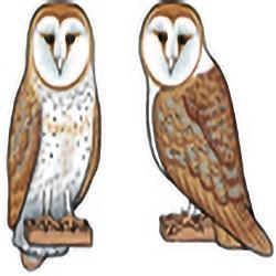 Eco Friendly Barn Owl Earrings
