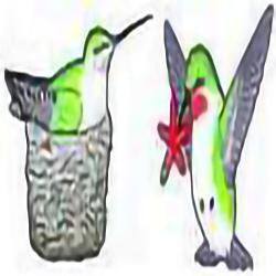 Eco Friendly Hummingbirds Earrings