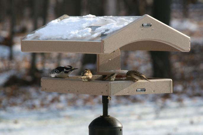 Recycled Pole Mount 20"" x 15"" Seed Catcher Platform