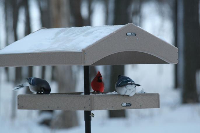 Recycled Pole Mount 20"" x 15"" Seed Catcher Platform