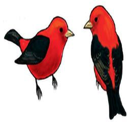 Eco Friendly Scarlet Tanager Earrings