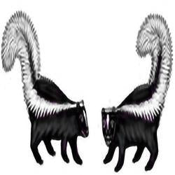 Eco Friendly Striped Skunk Earrings