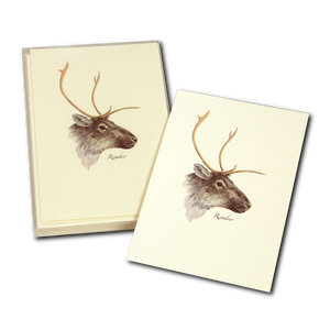 Reindeer Boxed Notes