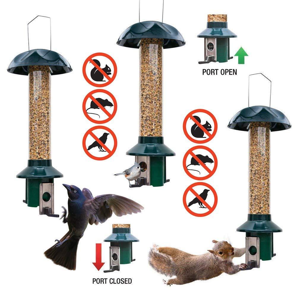 Roamwild PestOff Mixed Seed Squirrel Proof Bird Feeder, Green