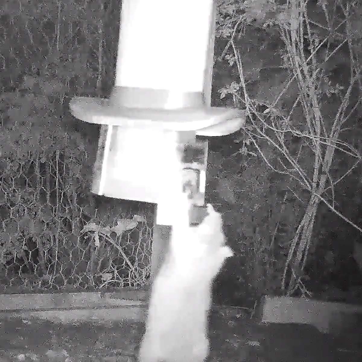 Roamwild PestOff Rat Proof Chicken Feeder