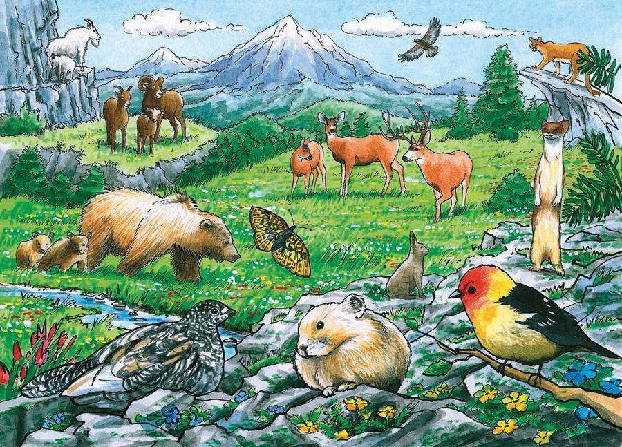 Rocky Mountains Wildlife, 35pc