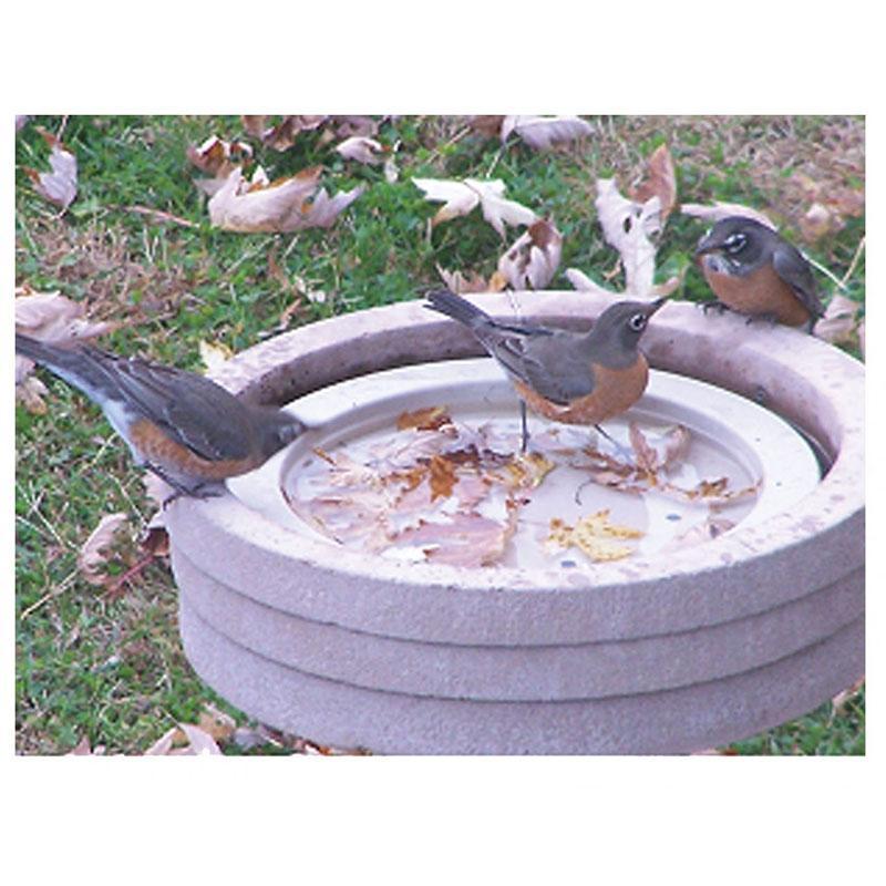 Birdbath Raft