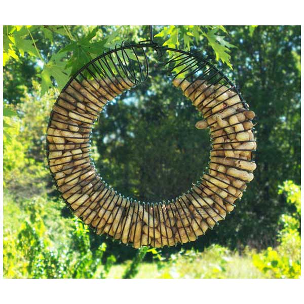 Whole Peanut Jay/Squirrel Wreath Feeder
