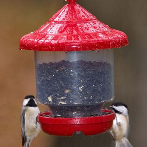 Songbird Essentials Clingers Only Bird Feeder