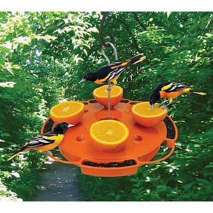 Ultimate Oriole Feeder