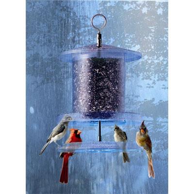 All-Weather Bird Feeder, 6-Quart, Clear