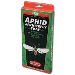BioCare Aphid & Whitefly Trap
