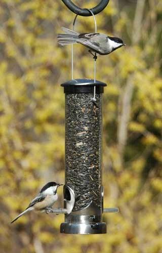 Seed Tube Small Brushed Nickel Quick Clean Base Feeder