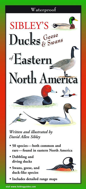Sibley's Ducks, Geese and Swans of Eastern North America Pocket Guide