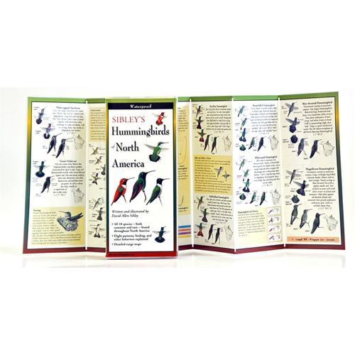 Sibley's Hummingbirds of North America