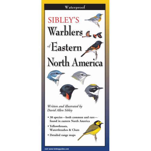 Sibley's Warblers of Eastern North America