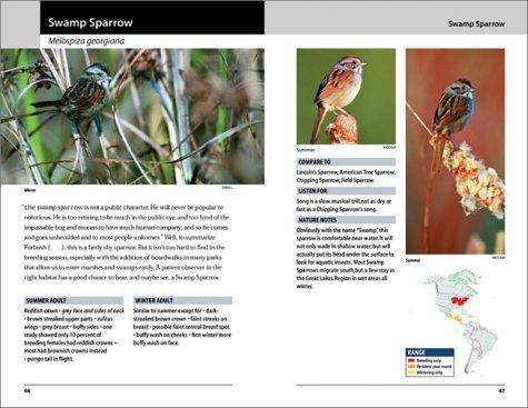 Sparrows and Finches of the Great Lakes Region and Eastern North America