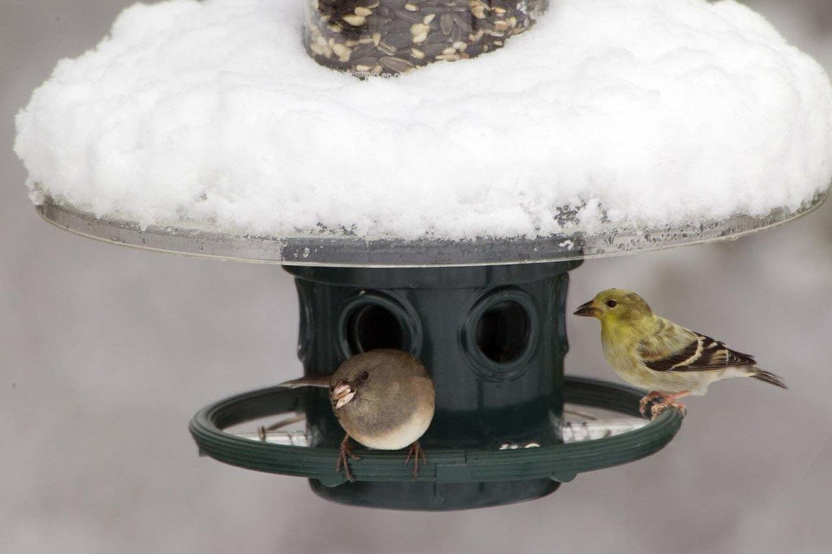 Squirrel Buster Plus Weather Guard