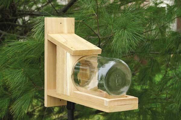 Squirrel Jar Feeder