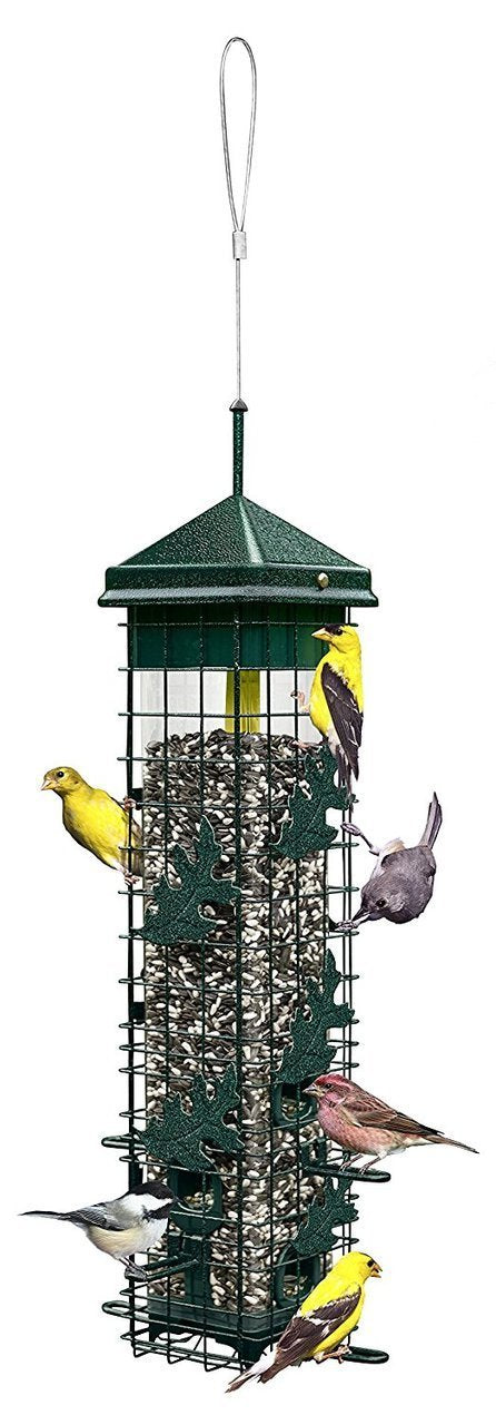 Squirrel Solution200 Wild Bird Feeder