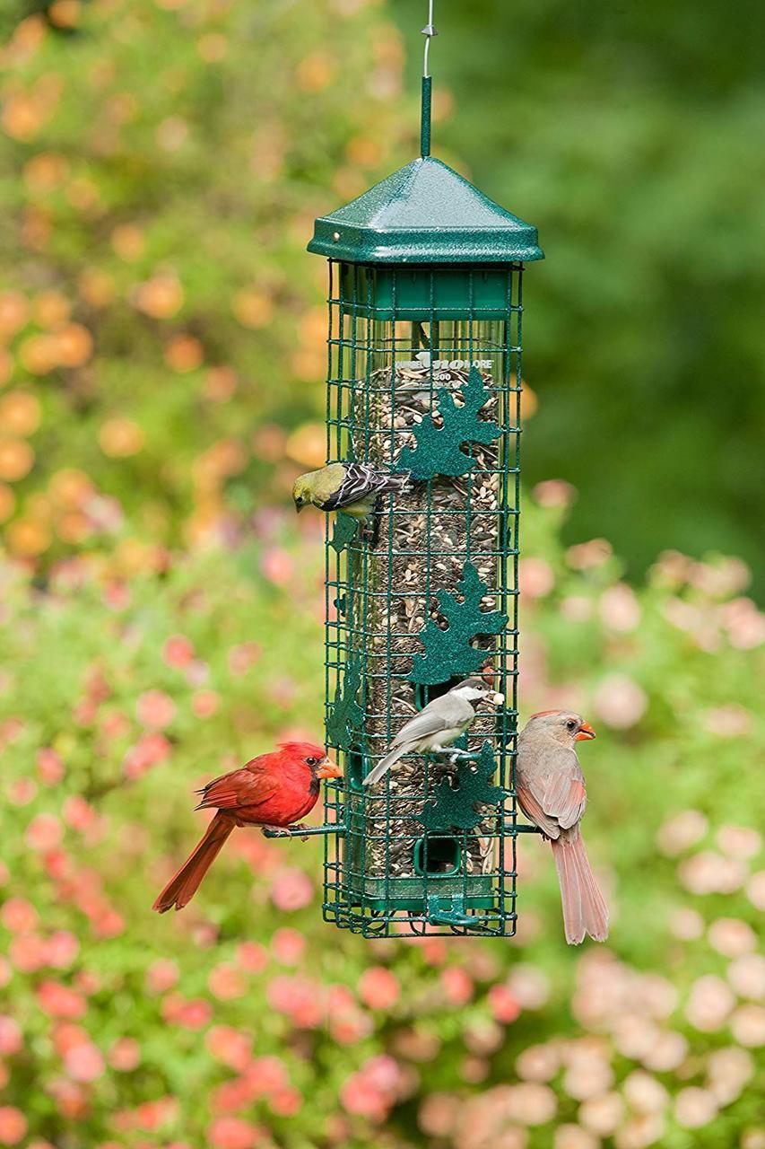 Squirrel Solution200 Wild Bird Feeder