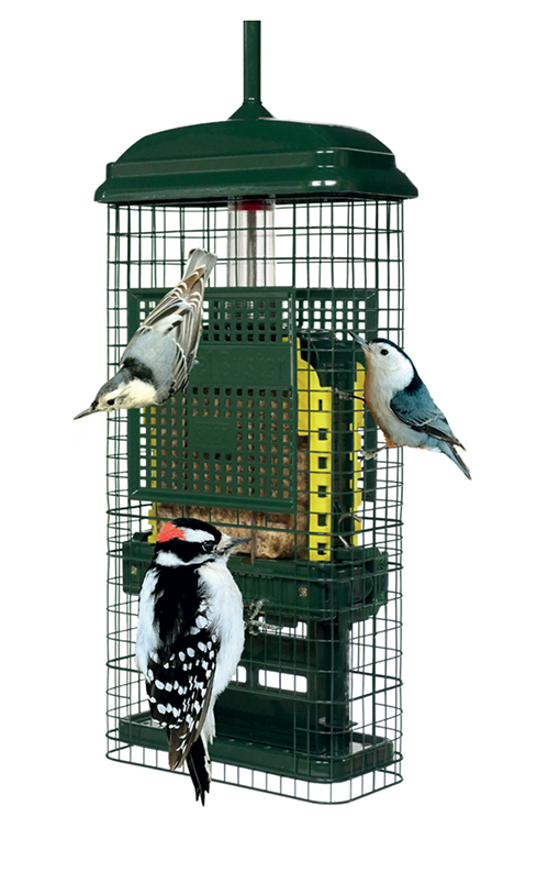 Squirrel Buster Suet Feeder