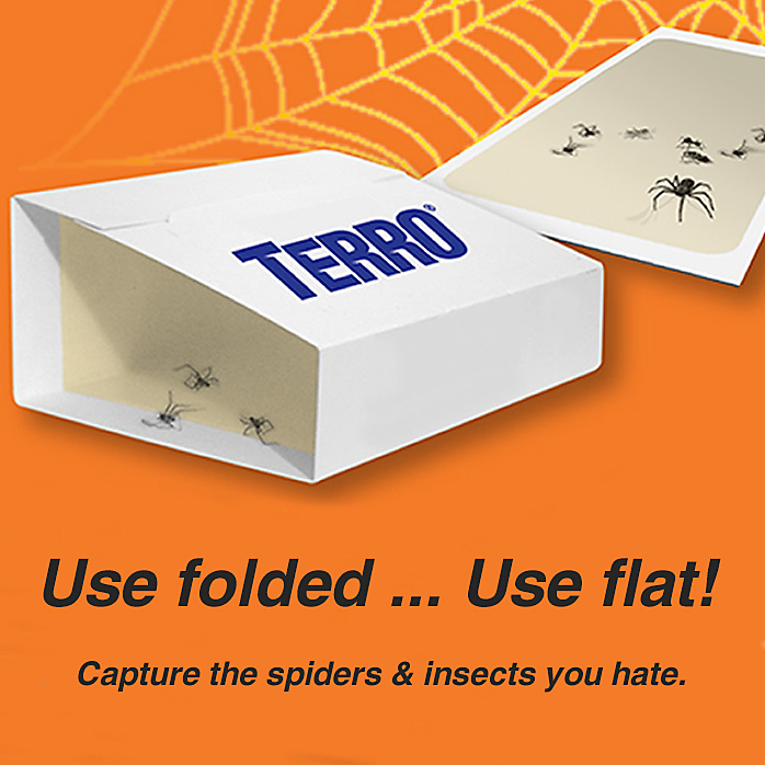 Terro Spider & Insect Trap