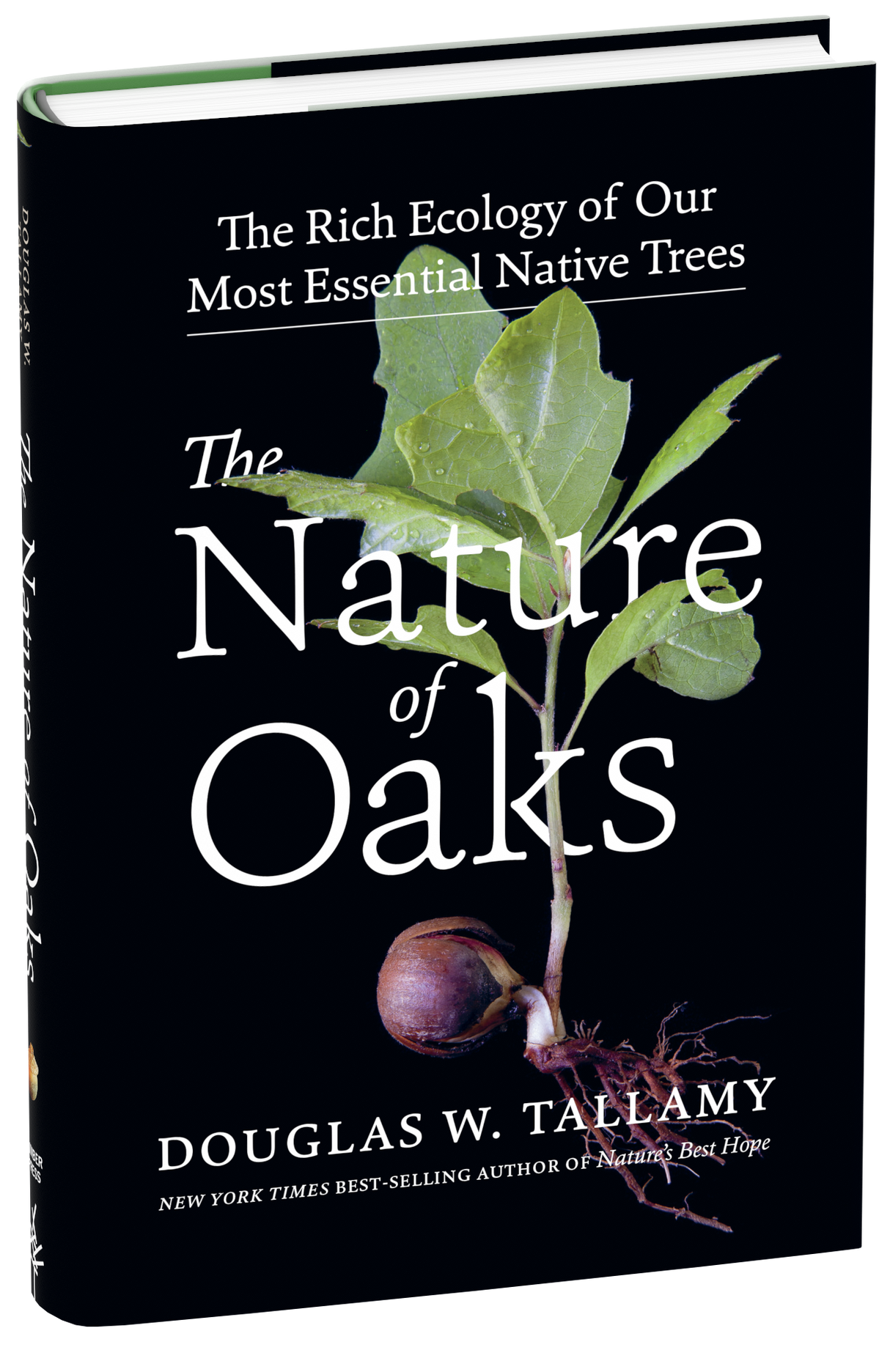 The Nature of Oaks