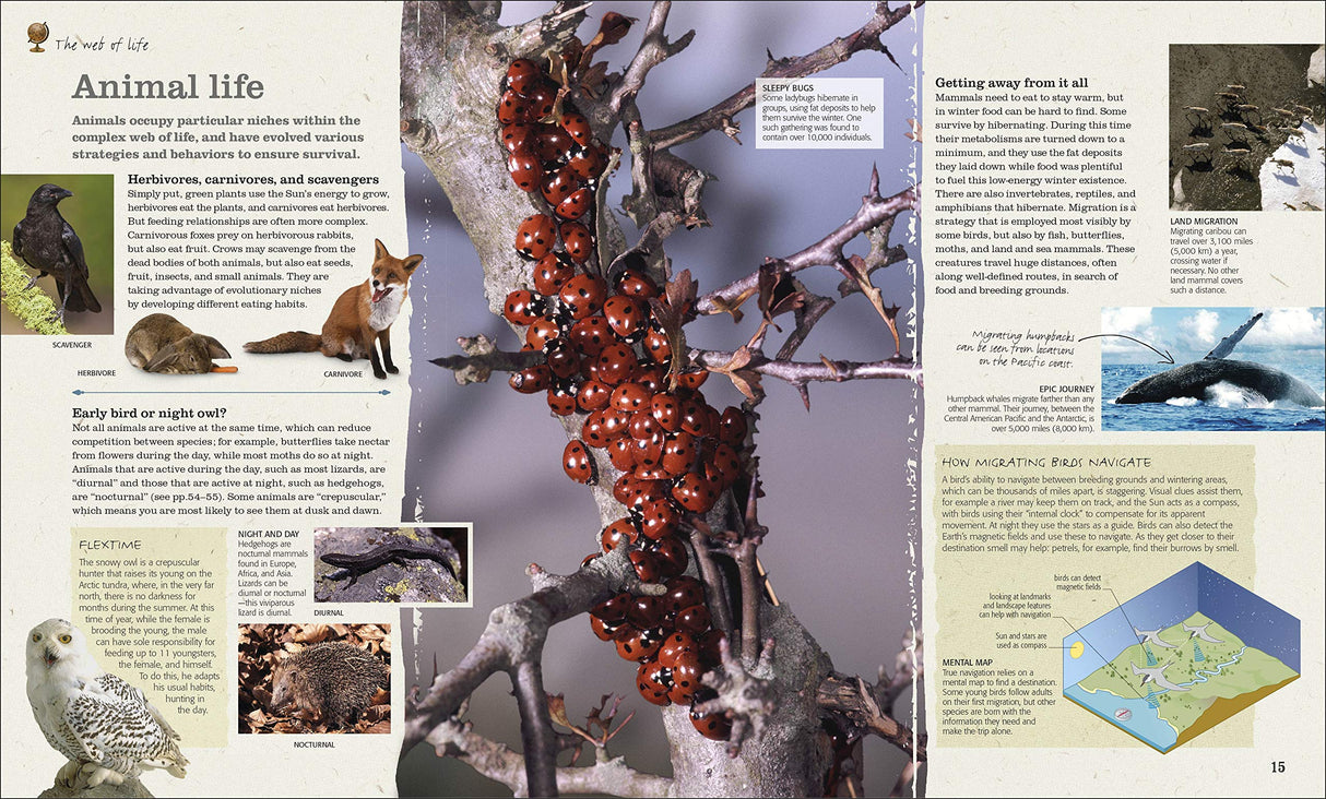 The Practical Naturalist, Explore the Wonders of the Natural World