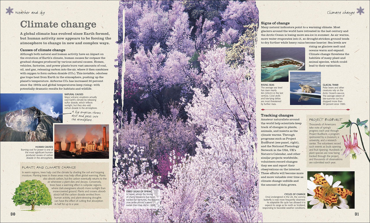 The Practical Naturalist, Explore the Wonders of the Natural World