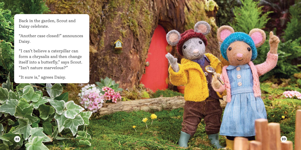 The Case of the Vanishing Caterpillar