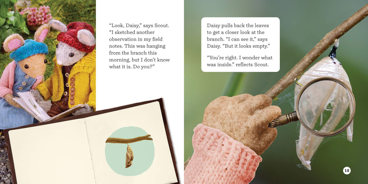 The Case of the Vanishing Caterpillar