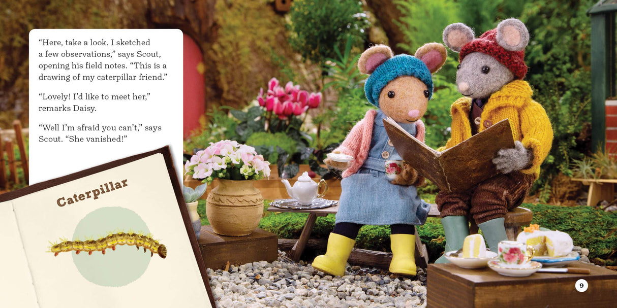 The Case of the Vanishing Caterpillar