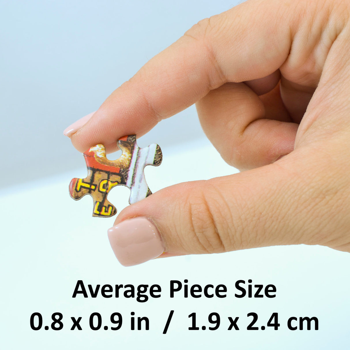 Toronto Panoramic 1000pc Puzzle