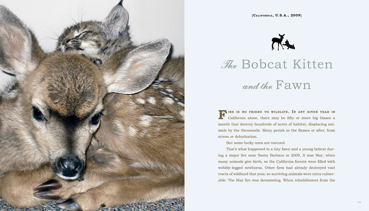 Unlikely Friendships, 47 Remarkable Stories from the Animal Kingdom