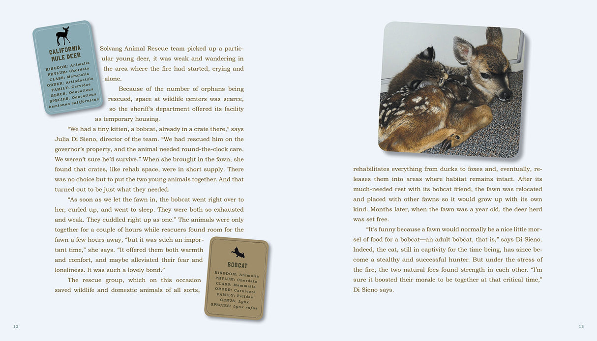 Unlikely Friendships, 47 Remarkable Stories from the Animal Kingdom