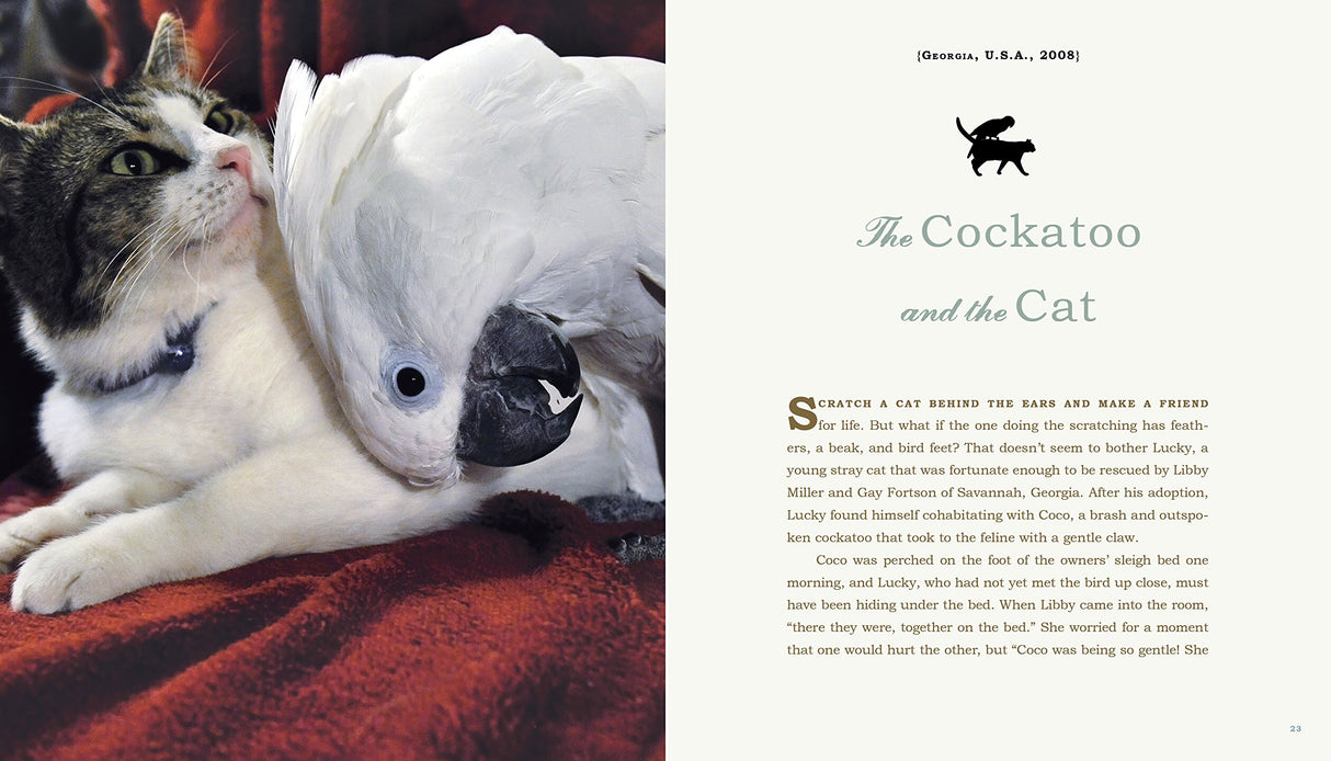 Unlikely Friendships, 47 Remarkable Stories from the Animal Kingdom