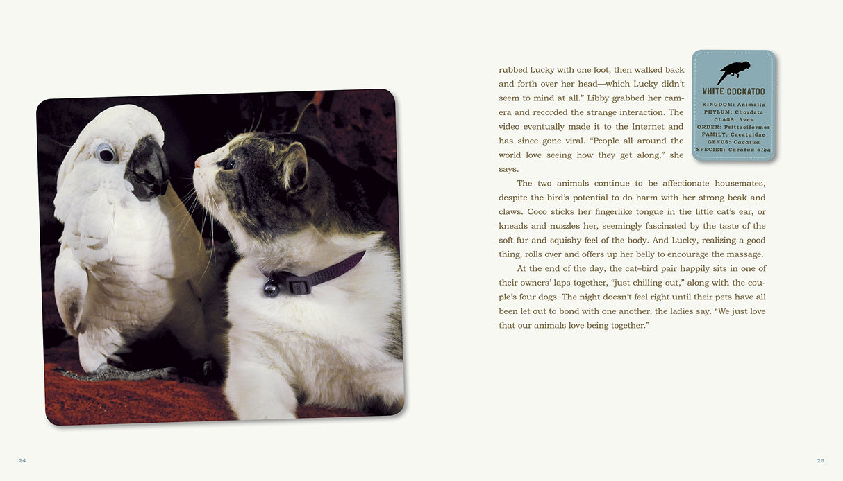 Unlikely Friendships, 47 Remarkable Stories from the Animal Kingdom