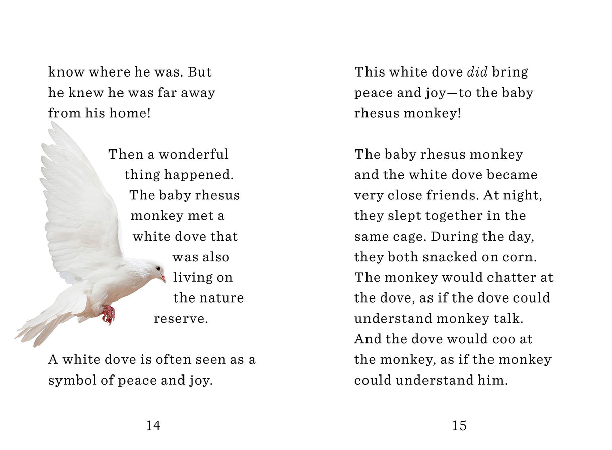 Unlikely Friendships for Kids, The Monkey & the Dove