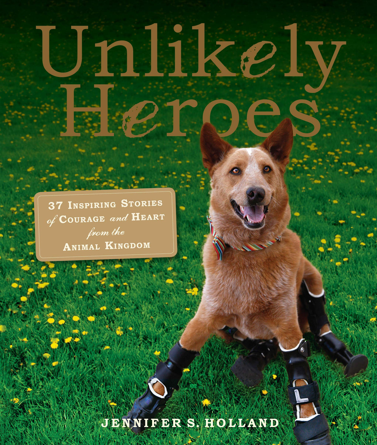 Unlikely Heroes, 37 Inspiring Stories of Courage and Heart from the Animal Kingdom