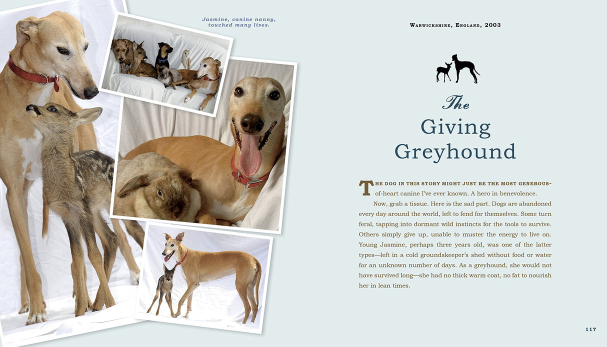 Unlikely Heroes, 37 Inspiring Stories of Courage and Heart from the Animal Kingdom