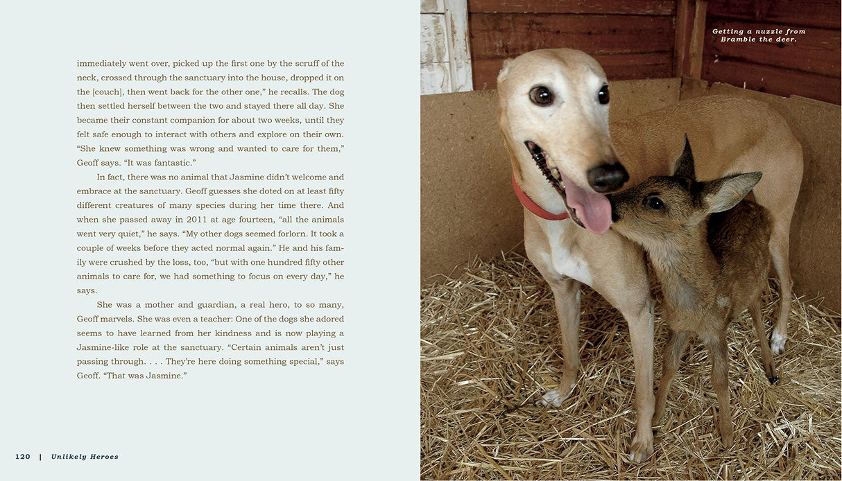 Unlikely Heroes, 37 Inspiring Stories of Courage and Heart from the Animal Kingdom