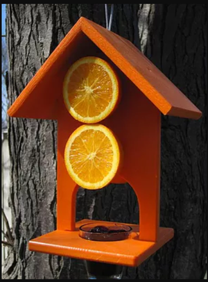 Urban Nature Store Double Fruit Oriole Feeder