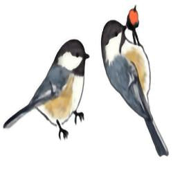 Eco Friendly Chickadee Earrings