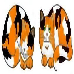 Eco Friendly Calico Cat Earrings