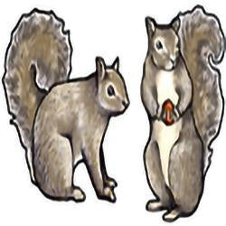 Eco Friendly Gray Squirrel Earrings